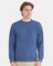 Hanes Unisex EcoSmart Crewneck Sweatshirt for screen printing